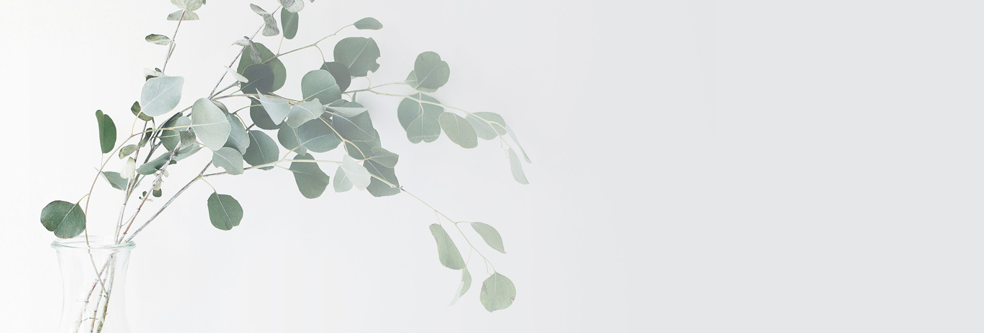 婚活マリッジコネクションブログイメージ