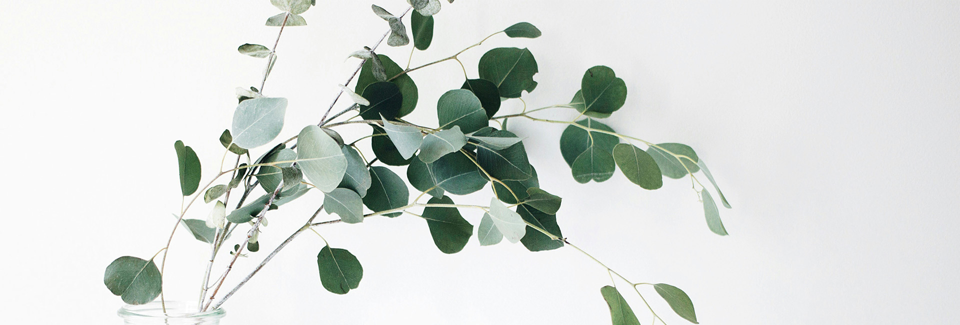 婚活マリッジマッチングペア極ブログイメージ